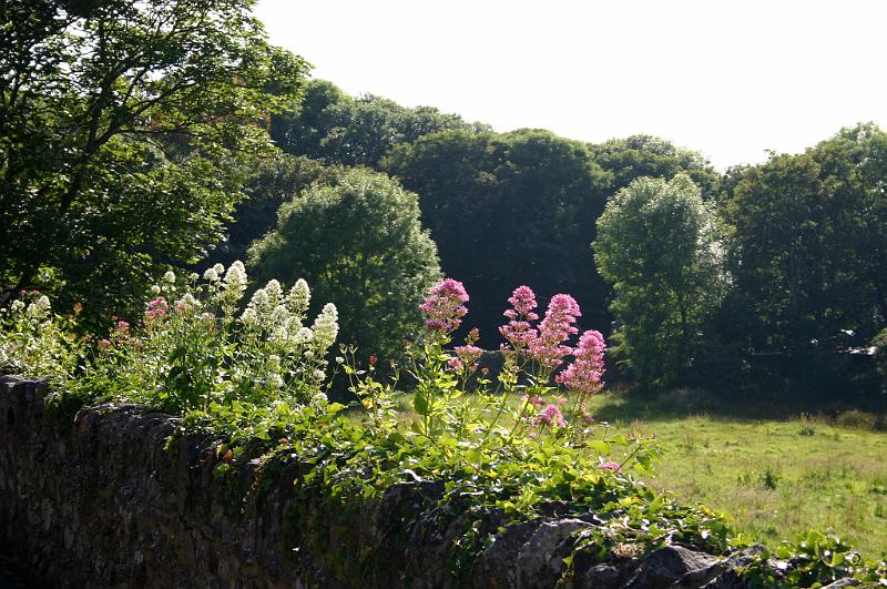 Wales (34).JPG